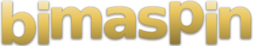 bimaspin logo